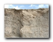 Click to enlarge this image